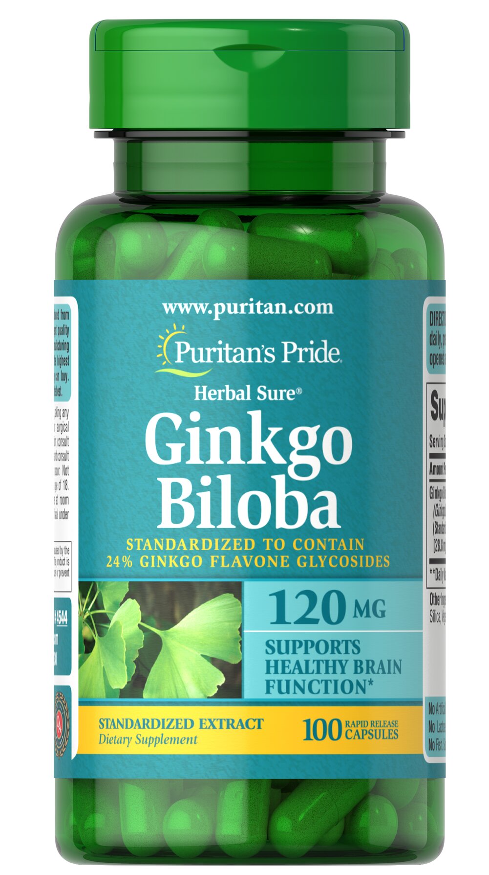 PURITANS PRIDE Ginkgo Biloba 100Un