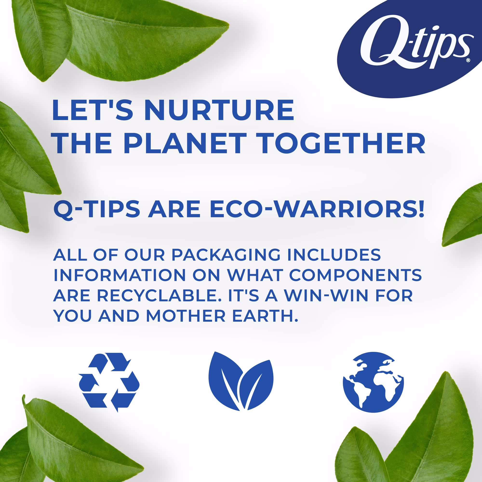 Q-TIPS Cotonetes 500un
